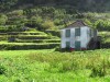 Ponta Delgada - Maison Typique